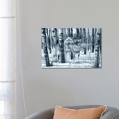 Snow Shadows Silvertones by Gordon Semmens - Wrapped Canvas Print