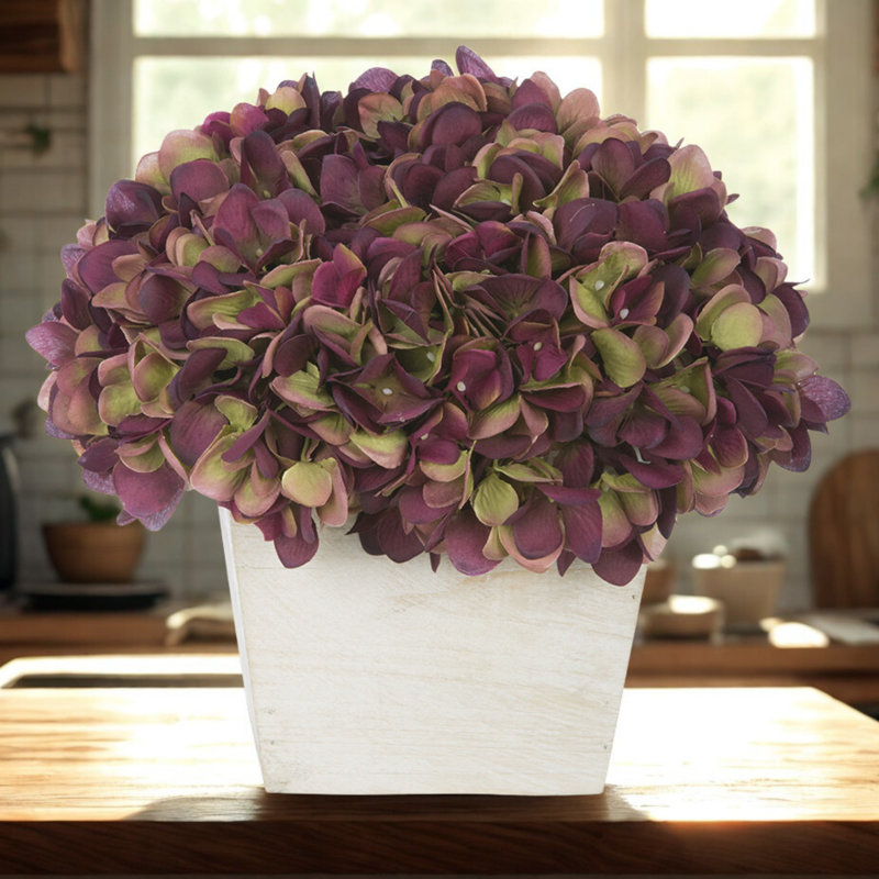 Arrangement d'hortensias en prune, Prune / sauge