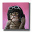«Bob Cat» par Lucia Heffernan sur-517725213