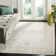 Chauncey Performance Oriental Rug