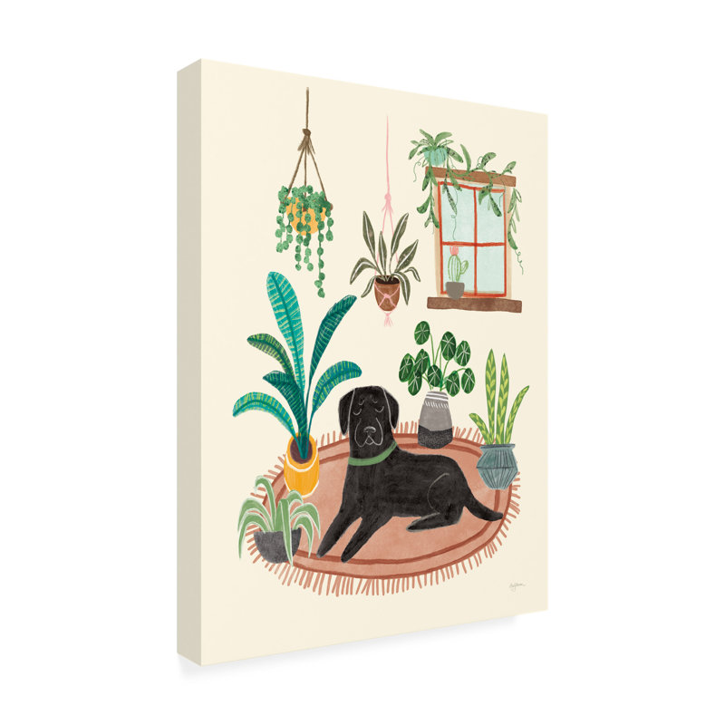 Art sur toile «Bachelor Mary Urban Urban Jungle Dogs VI», H 19 po x l 14 po