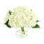 Hydrangeas in Glass Bubble Vase-612836878
