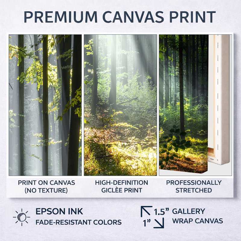 «Sunny Morning Magic Forest III - Forest», reproduction d'art sur toile, H 24 po x l 32 po, Impression encadrée