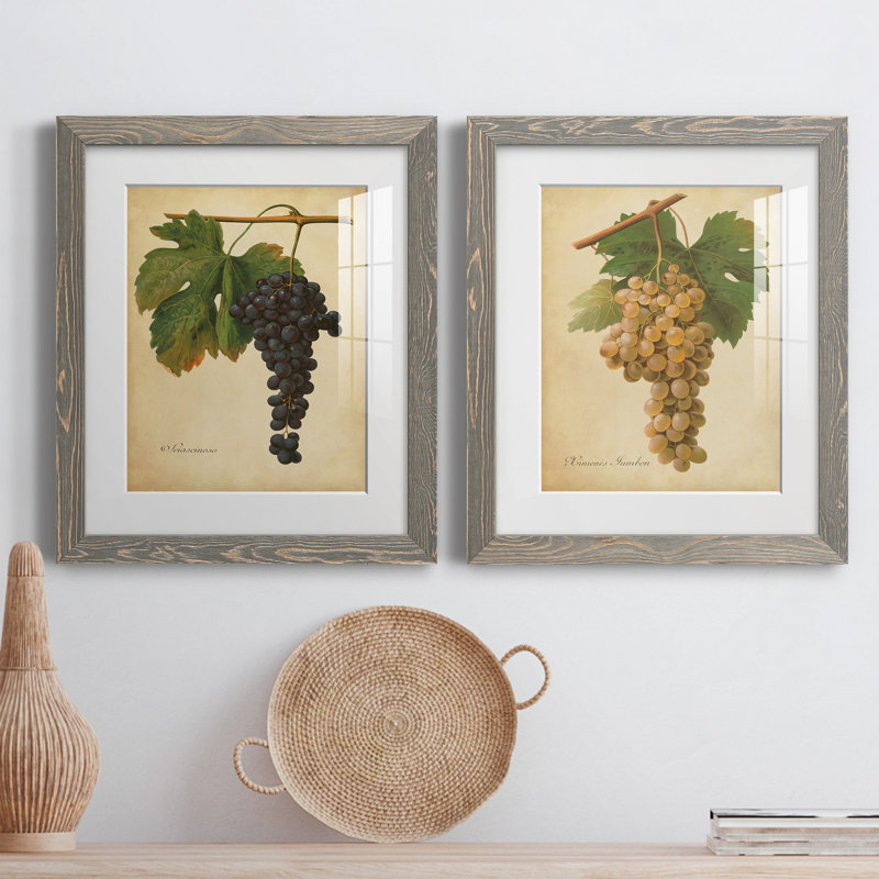 «Vintage Vines», reproduction encadrée prête à accrocher, H 20 po x l 17 po x P 1 po, Papier encadré blanc, Blanc