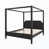 Black est en rupture de stock