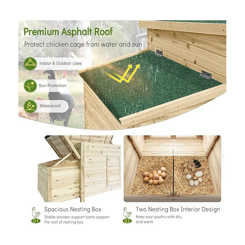 Cage à poules avec 2 poules et toit imperméable