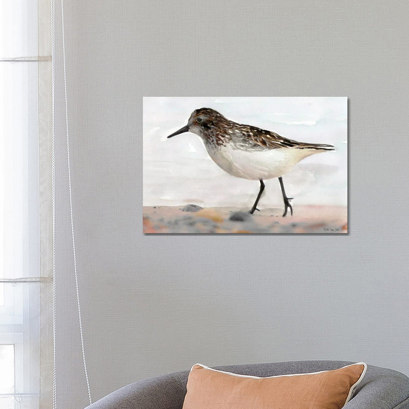 Sandpiper II by Stellar Design Studio - Painting on Canvas, 66.04 cm H x 45.72 cm W x 1.91 cm D, Wrapped Canvas