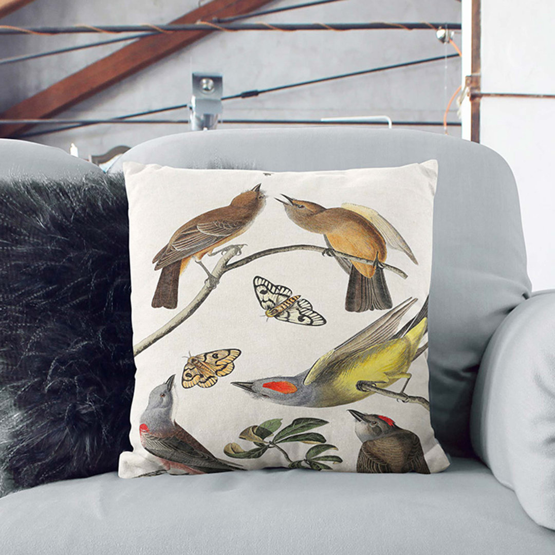 Flycatcher Birds by John James Audubon Cushion with Filling