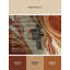 Tapis oriental brun classique Dait Of The Rock Paitlyn lavable à la machine - reliure brun clair-1046544108