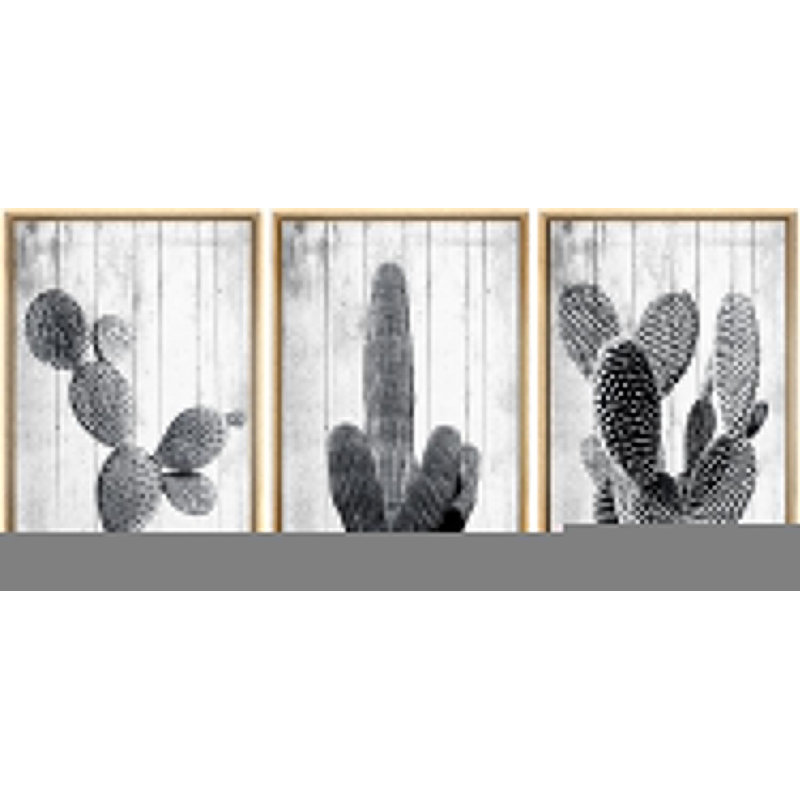 Cactus désert noir et blanc groupes de cactus, impression sur toile, 3 pièces, H 24 po x l 48 po x P 1,5 po, Naturel