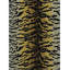 Animal Print Area Rug-1737649104