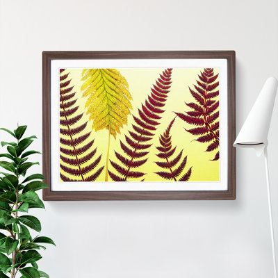 Fern Leaves - Single Picture Frame Print