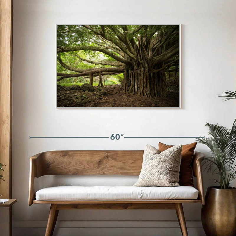 Banyan Tree, Cadre flottant blanc, 43 po x 29 po