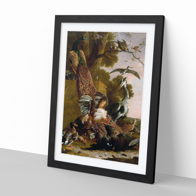 The Raven Robbed of the Feathers by Melchior D'Hondecoeter - Picture Frame Painting, Black Framed, 48cm H x 36cm W x 2cm D