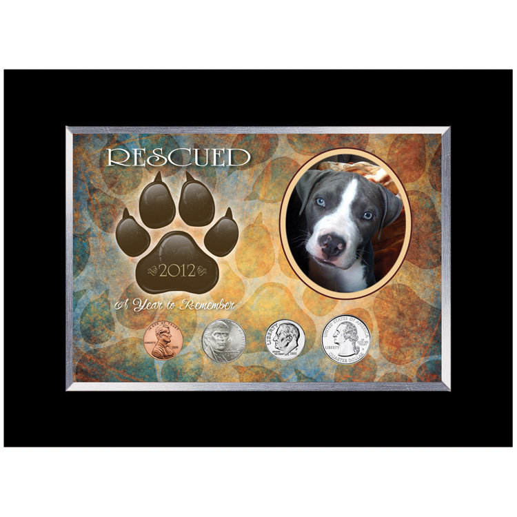 Rescued Year to Remember Dog Coin Desk Frame