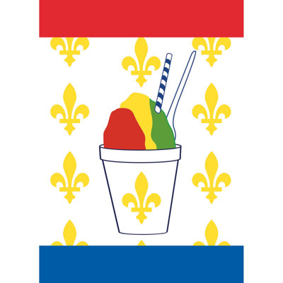 Double Sided 42'' H x 29'' W Polyester House Flag