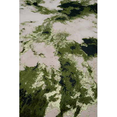 Area Rug