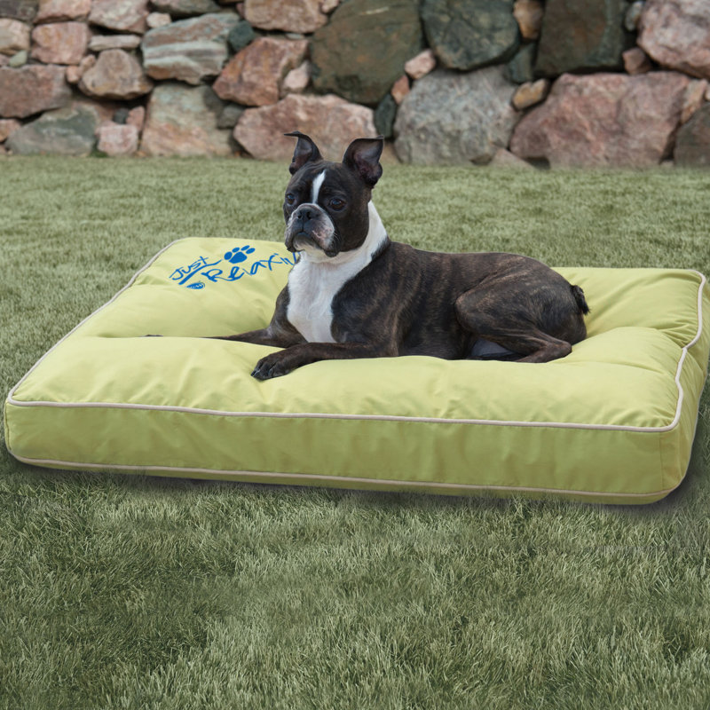 Coussin intérieur / extérieur pour chien Just Relaxin 'Classic, Vert, Petit (l 26 po x P 18 po)