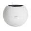 Pot Planter-332018649-332018650