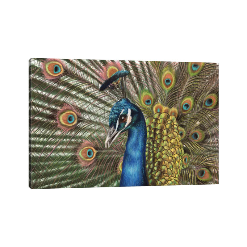 Peacock by Richard Macwee - Gallery-Wrapped Canvas Giclée on Canvas, Canvas, 66.04 cm H x 45.72 cm W x 1.91 cm D