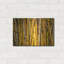 «Bamboo» par Mark A Paulda-101450461