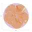 Hibiscus Vegan Leather Round Pebble Placemat-753637592