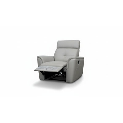 Fauteuil gris pâle 1058 avec inclinaison manuelle