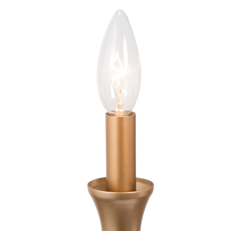 Lustre transitionnel à 6 lumières 6 lumières