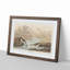 Little Sandpiper Birds by John Audubon - Picture Frame Painting Print-55617766-55617765
