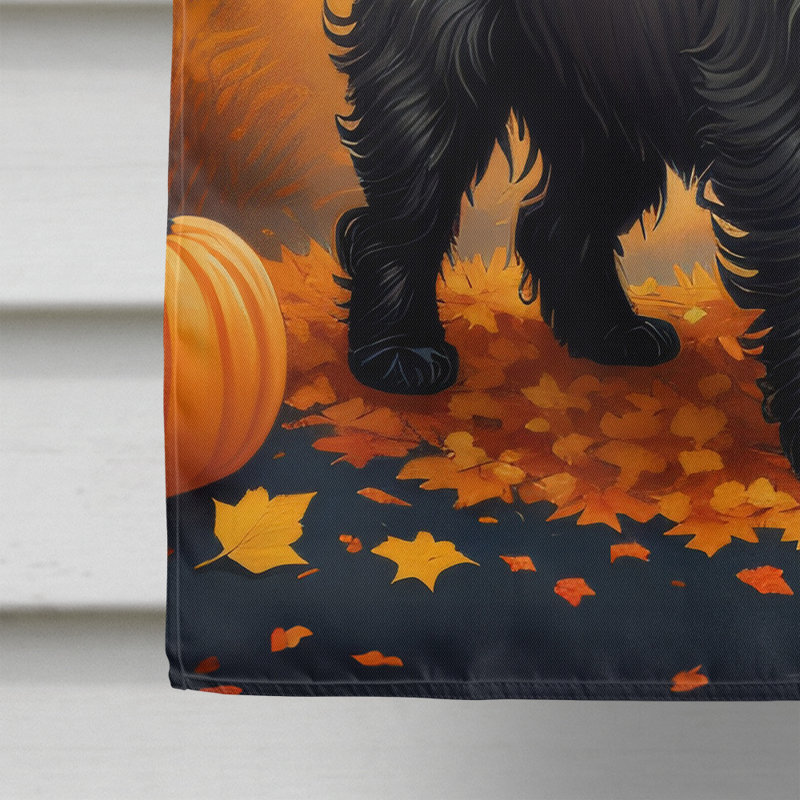 Double Sided 40'' H x 28'' W Polyester House Flag