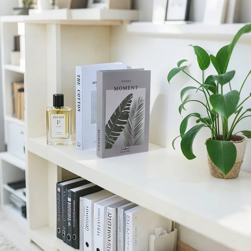 Ensemble de 6 livres décoratifs modernes