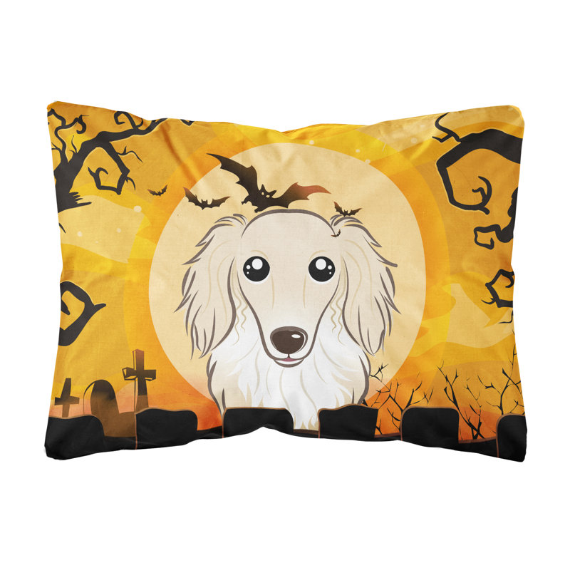  Coussin intérieur / extérieur Halloween, Crème