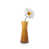 ambre sélectionné