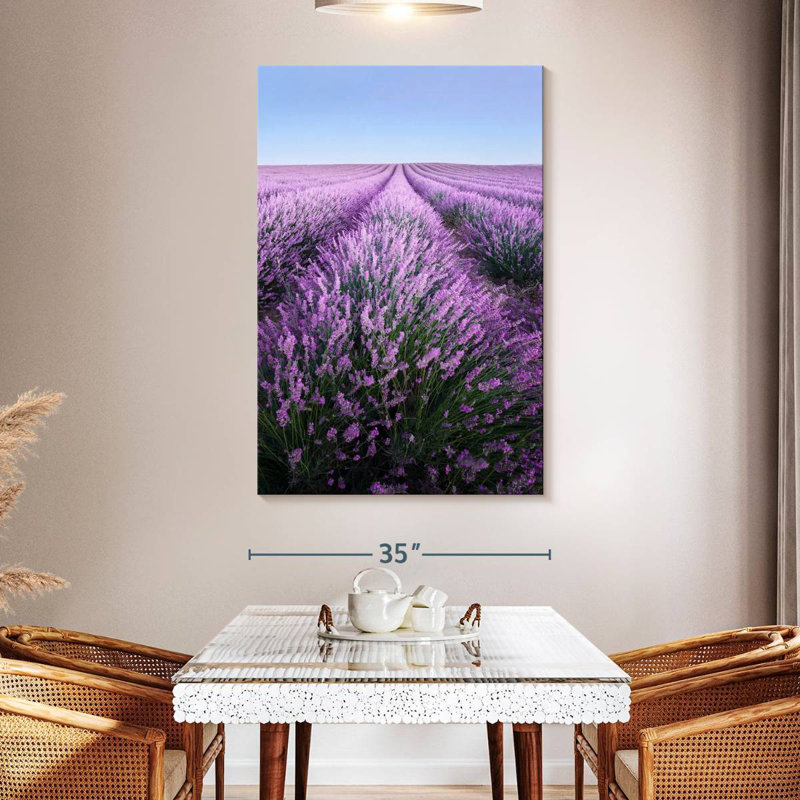 Lavande française Alvord Provence, H 51 po x l 34 po