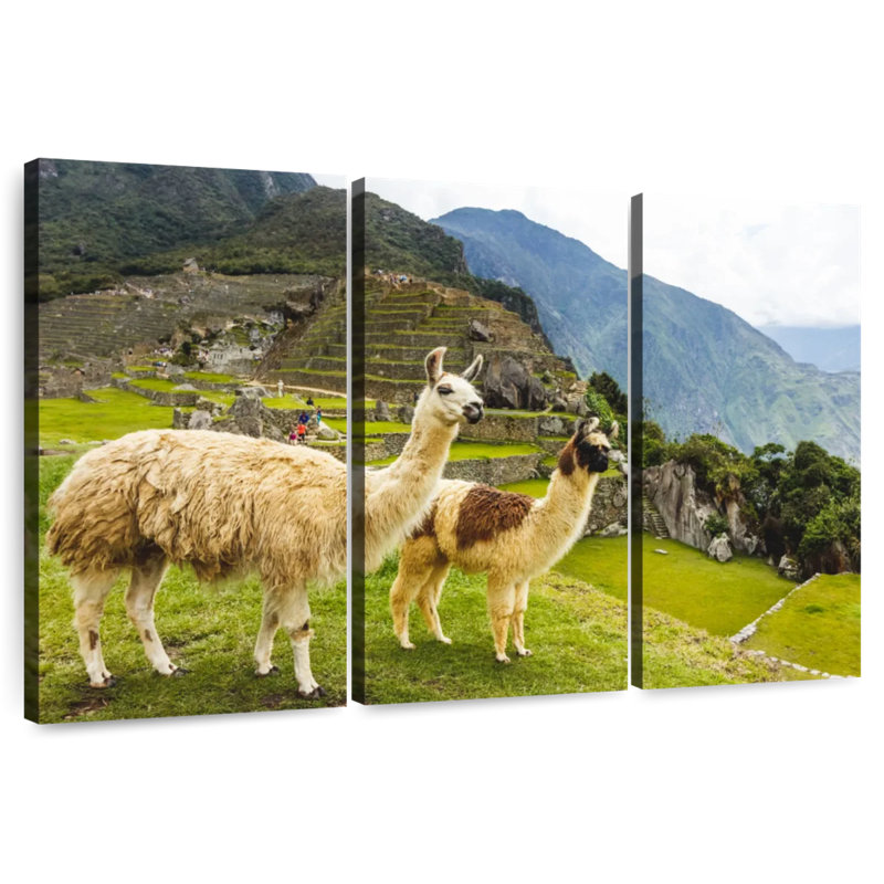 Machu Picchu Llamas, 28" H x 45" W