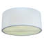 6 - Light Flush Mount