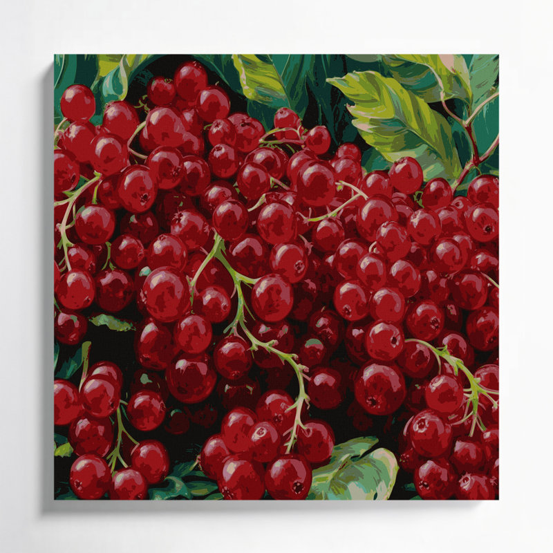 Fruit Currant Red Black Canvas Wall Art