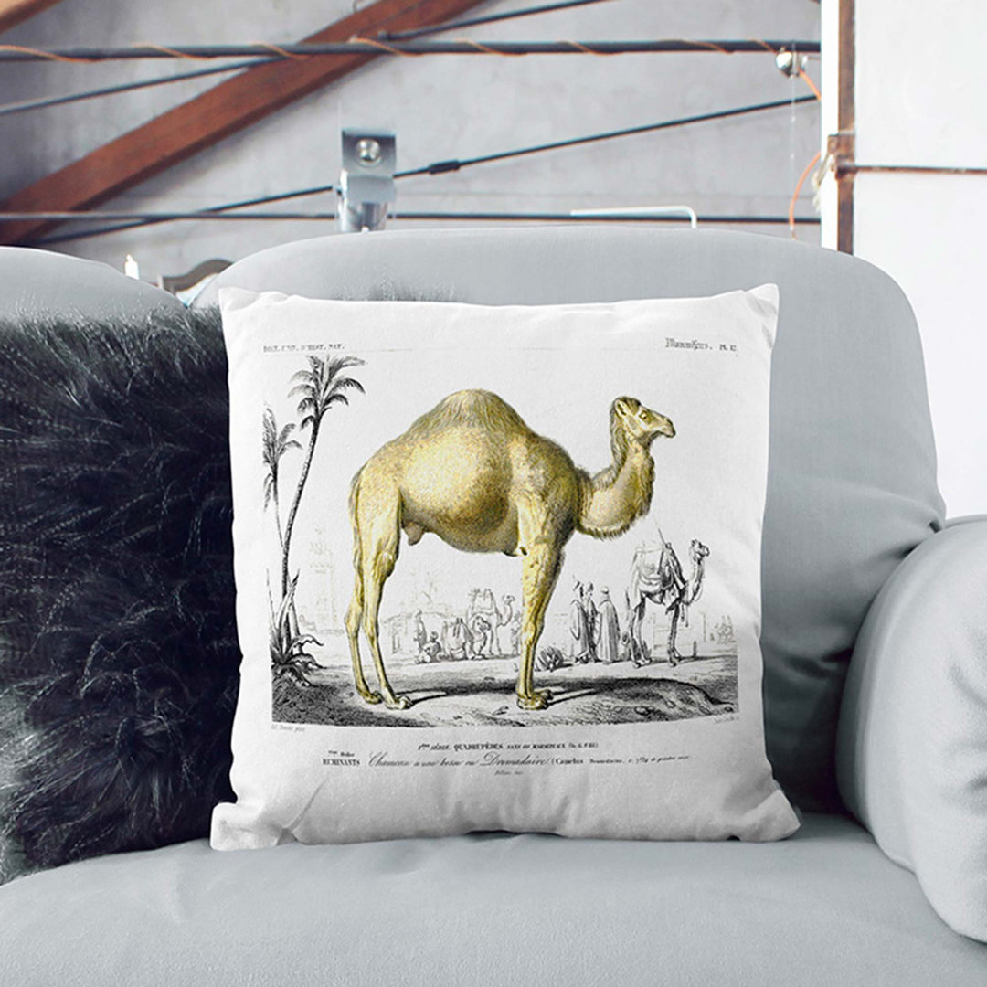 Camel Illustration by Charles D' Orbigny Cushion with Filling
