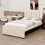 Upholstered Platform Bed With Trundle-1800928857