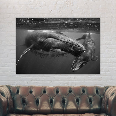 Humpback Whales - Wrapped Canvas Print