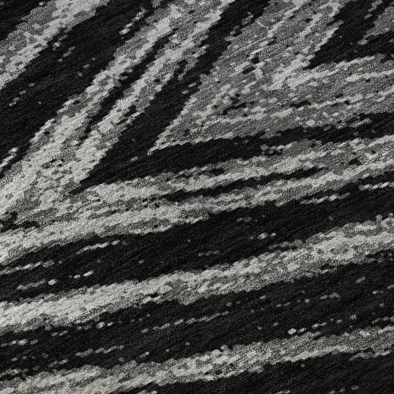 Premium Machine Washable Prisco Black Rug, Rectangle 2'6" x 3'10"