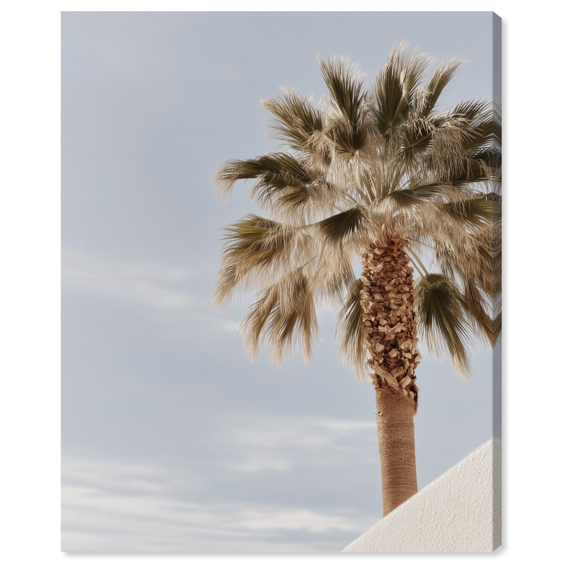Monotone Tropics II Print by Oliver Gal, 30"H x 24"W, Gallery Wrapped