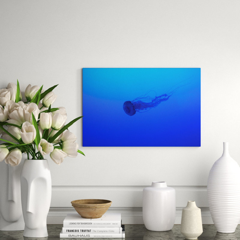 La Meduse - reproduction de photo sur acrylique, 16 po x 24 po