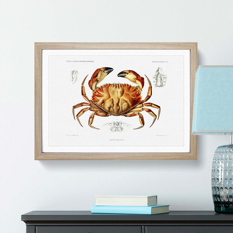 Crab by Albert I - Picture Frame Painting Print, 48cm H x 65cm W x 2cm D, Oak Framed