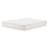 Pina Outdoor Dining Chair Seat Cushion-1310104291-1310104318