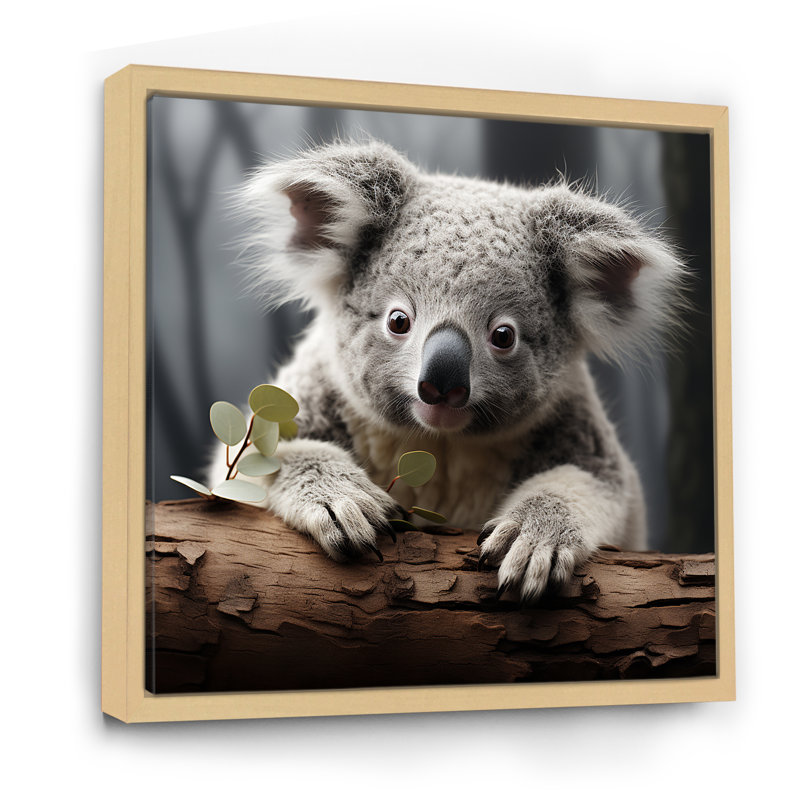 Mignon koala en Australie III - art mural animal koala, Cadre flottant brun, H 16 po x l 16 po x P 1 po