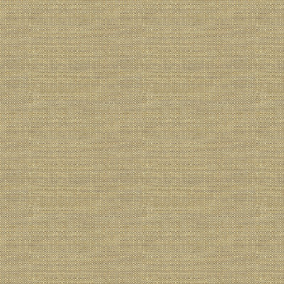 Guaranteed in Stock Fabric