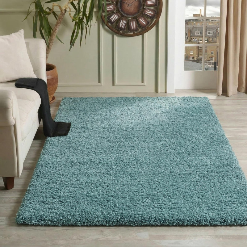 Esterly Shaggy Duck Egg Blue Rug, Rectangle 120 x 170cm