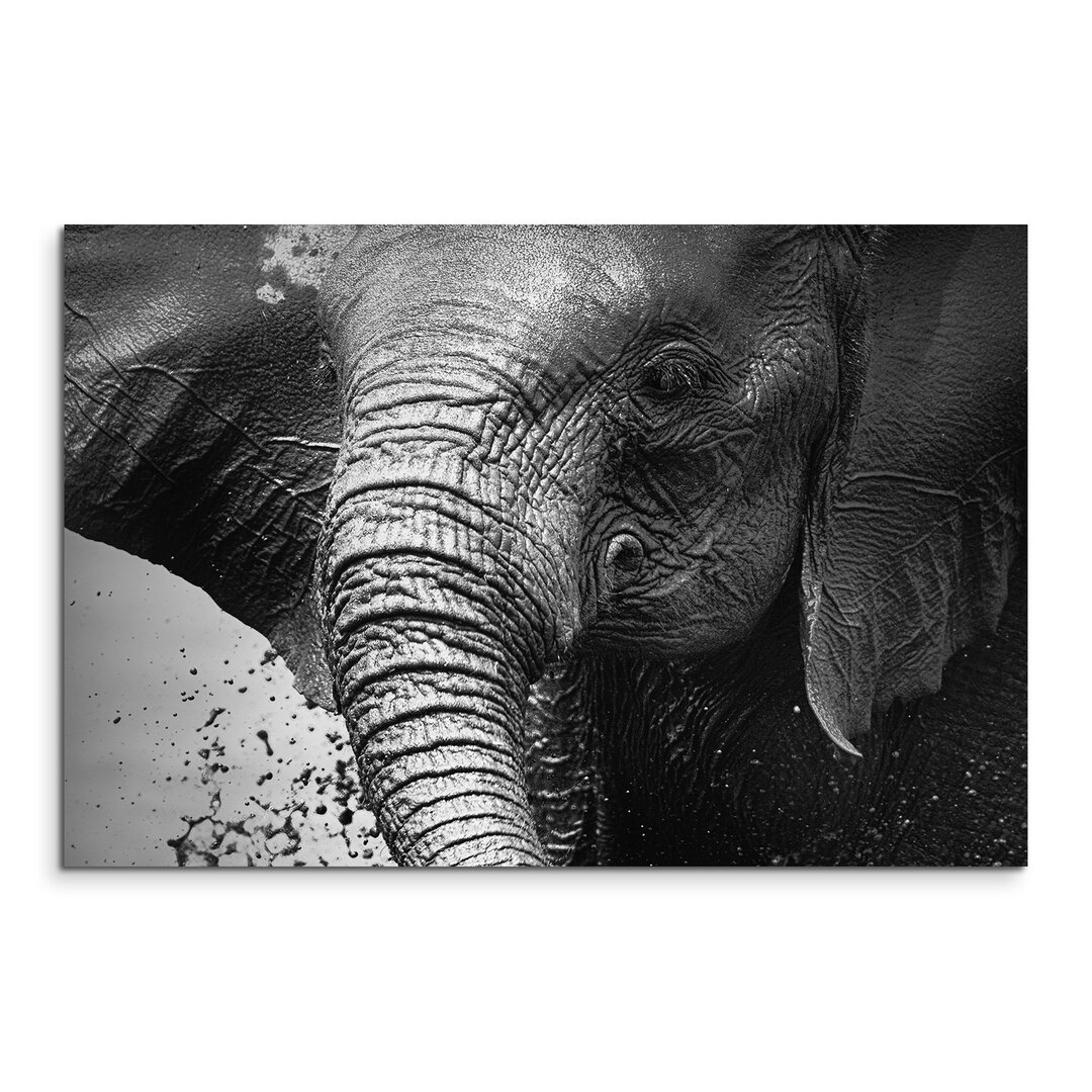 Leinwandbild „Elefant“, Fotodruck