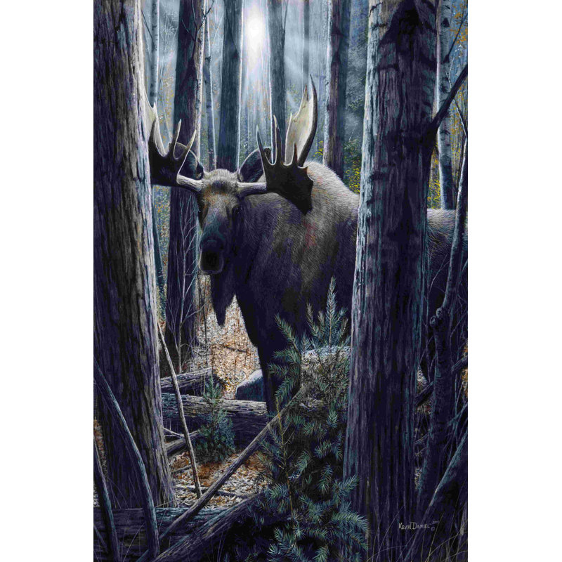 Le roi des Northwoods, H 12 po x l 8 po